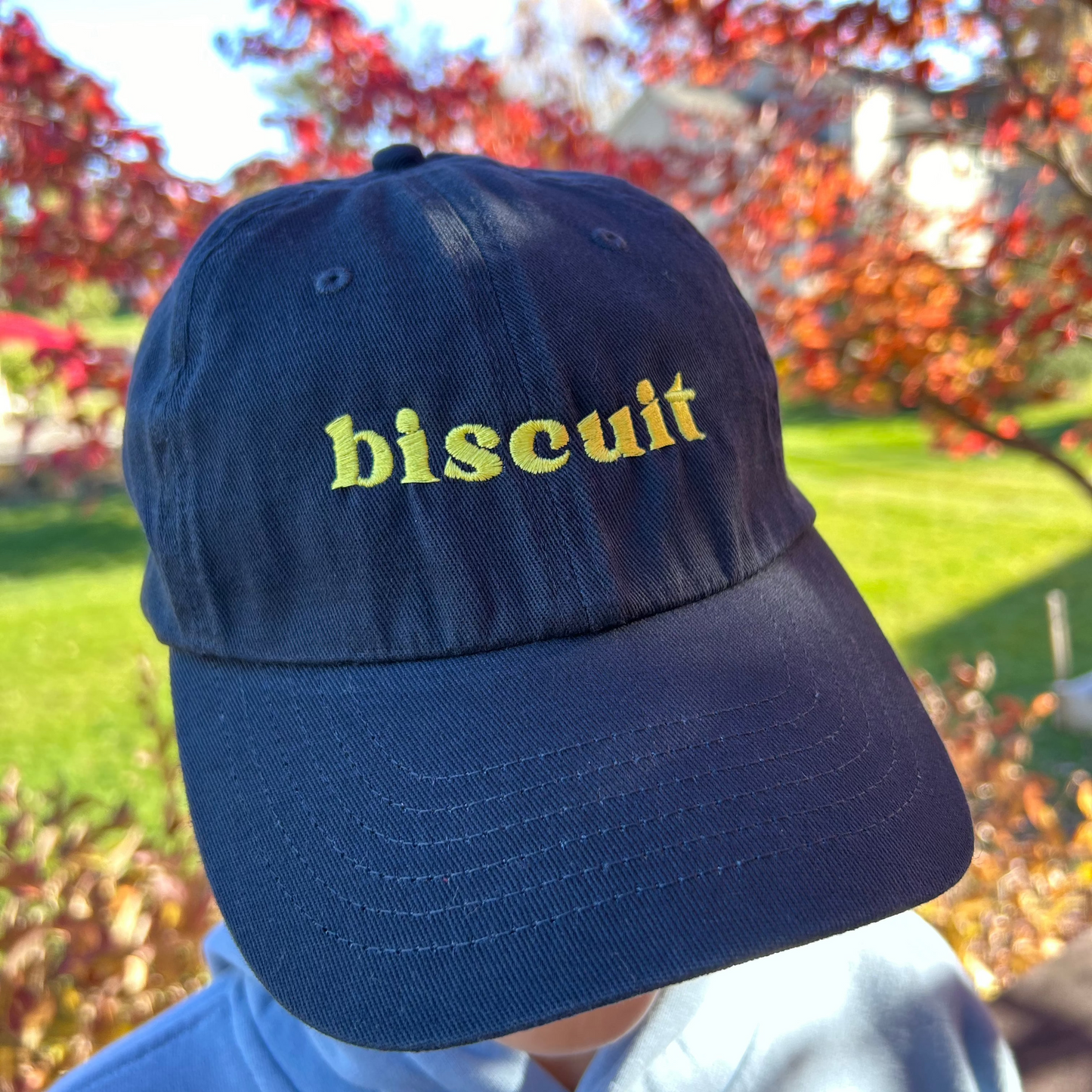 Biscuit Hat - Michigan