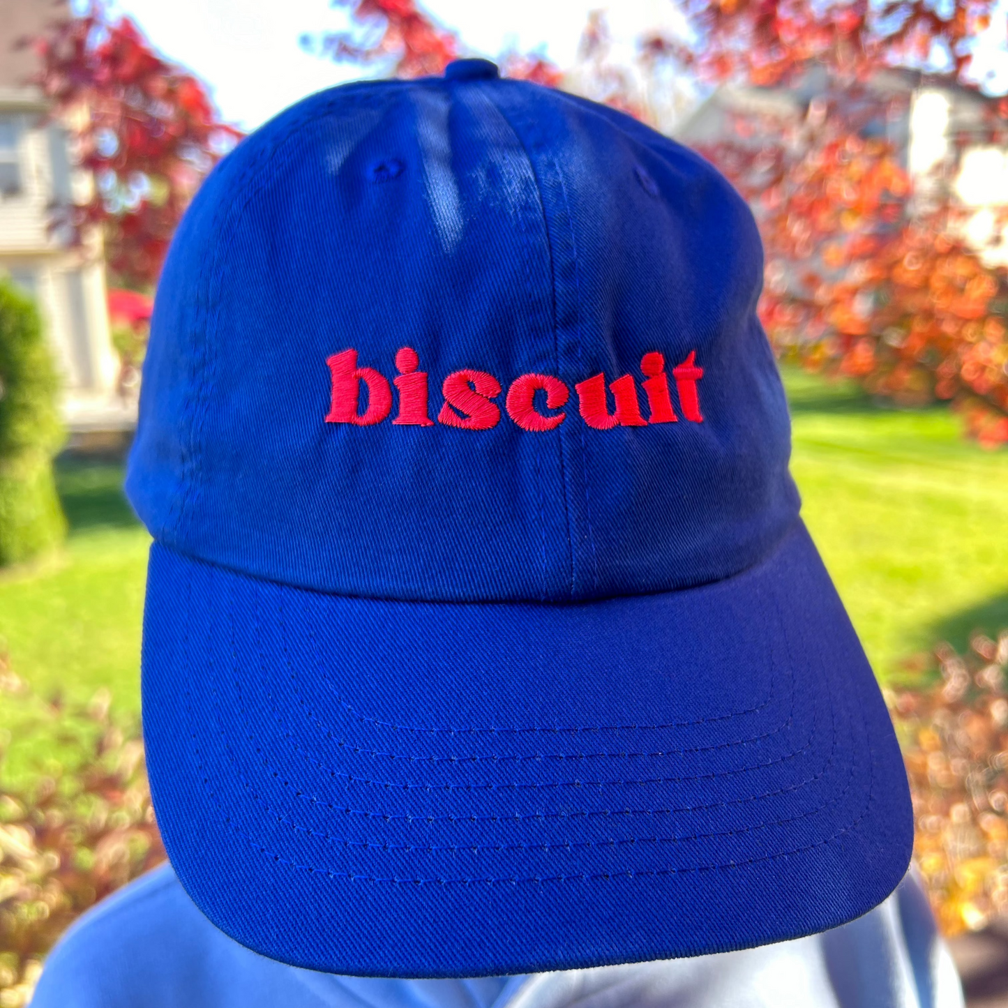 Biscuit Hat - Bills